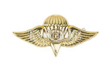 Air Force Badge 